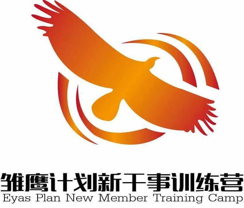 雏鹰计划开营 雏鹰展翅 相约金地