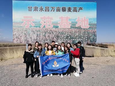 喜讯|学院在第六届中国国际互联网+大学生创新创业大赛甘肃省选拔赛中摘得“一金一银两铜”