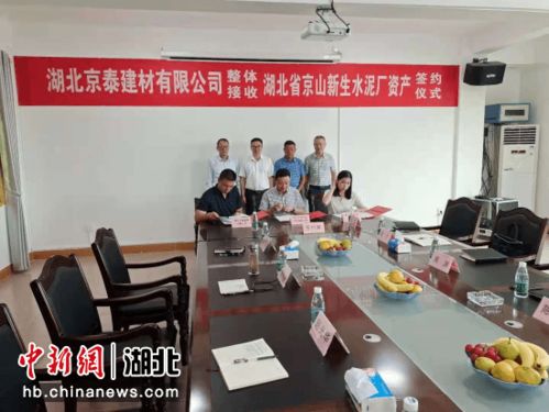 湖北省一水泥企业资产整体转让